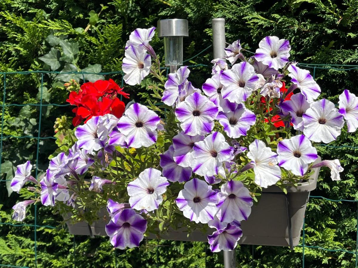 Apartamento Les Floralies Froberville Exterior foto